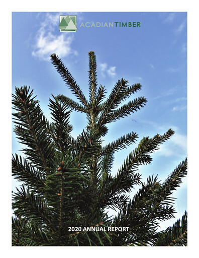 Vorschaubild Acadian Timber Jahresbericht 2020