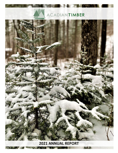 Vorschaubild Acadian Timber Jahresbericht 2021