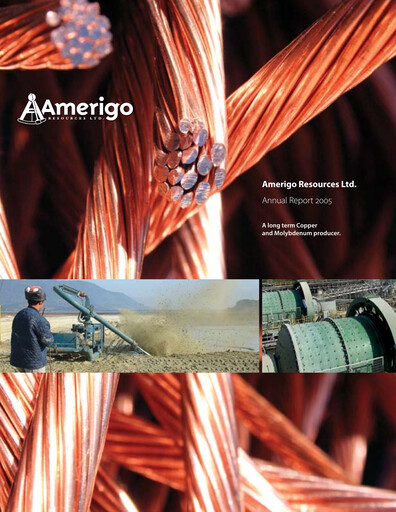 Thumbnail Amerigo Resources Annual Report 2005
