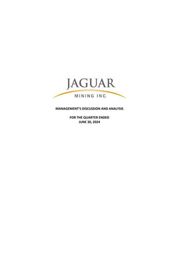 Thumbnail Jaguar Mining Quarterly Report 2024-q2