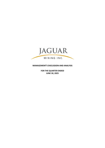 Thumbnail Jaguar Mining Quarterly Report 2025-q2