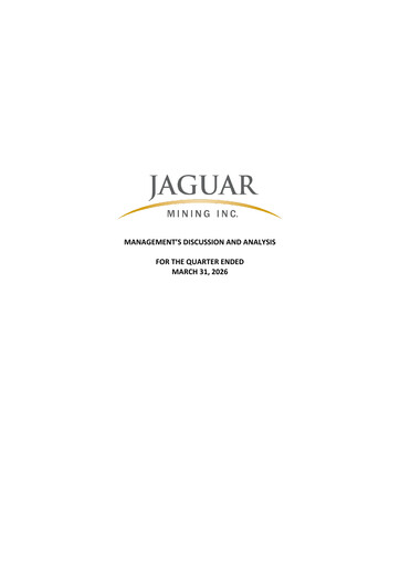 Miniature Jaguar Mining Rapport trimestriel 2026-q1