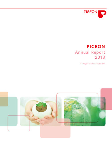 Thumbnail Pigeon Annual Report 2013