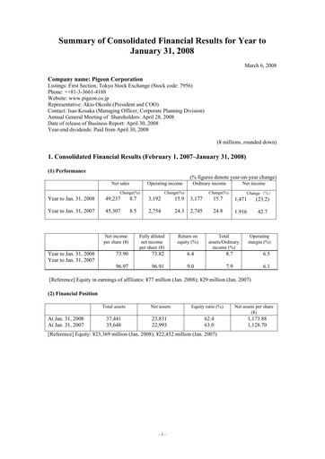 Thumbnail Pigeon Financial Statement fy2008