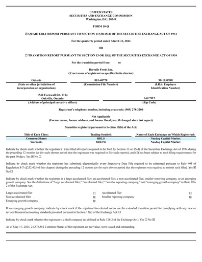 Thumbnail Borealis Foods Quarterly Report 2024-q1