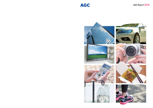 Thumbnail AGC Annual Report 2016