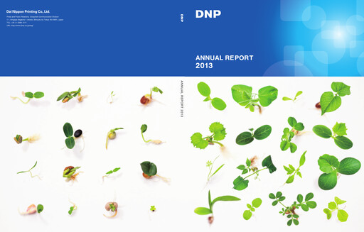Thumbnail Dai Nippon Printing Annual Report 2013