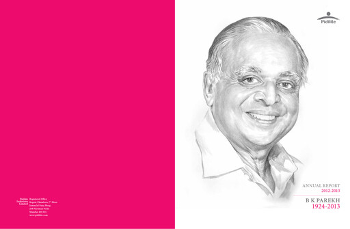 Thumbnail Pidilite Annual Report 2012-2013