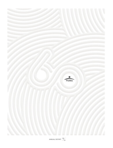 Thumbnail Pidilite Annual Report 2018-2019