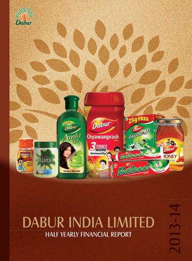 Miniature Dabur Rapport semestriel 2013-h1