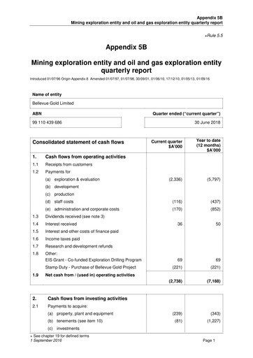 Miniature Bellevue Gold Rapport trimestriel 2018-q4