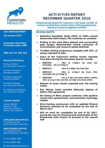 Thumbnail Capricorn Metals Quarterly Report 2016-2017-q2