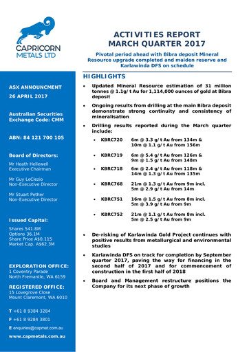Thumbnail Capricorn Metals Quarterly Report 2016-2017-q3
