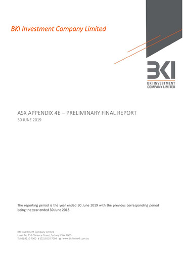 Miniature BKI Investment Company Rapport financier 2019