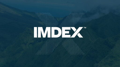 Miniature Imdex Limited Rapport semestriel 2025-h1