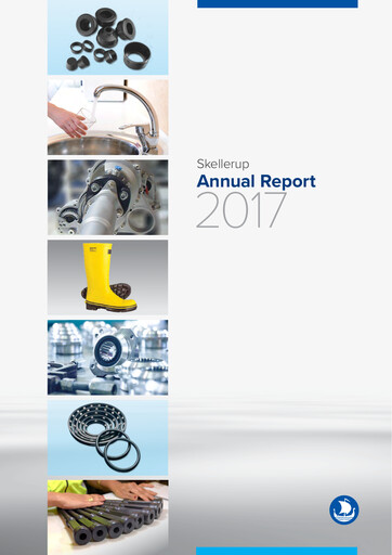Thumbnail Skellerup Holdings Annual Report 2017