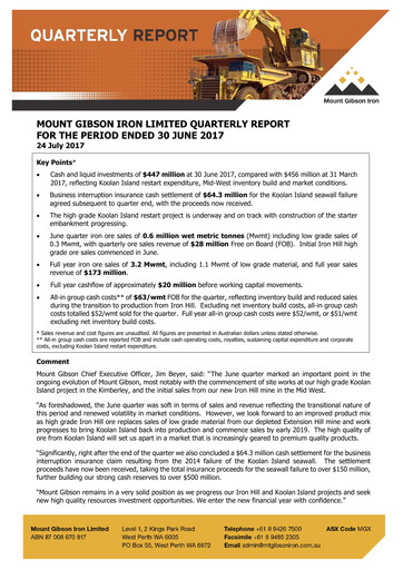 Thumbnail Mount Gibson Iron Quarterly Report 2017-q4