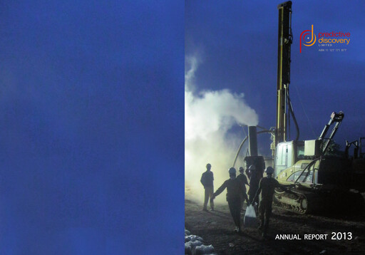 Thumbnail Predictive Discovery Limited Annual Report 2013