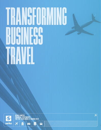 Miniature Serko Limited Bilan financier 2017