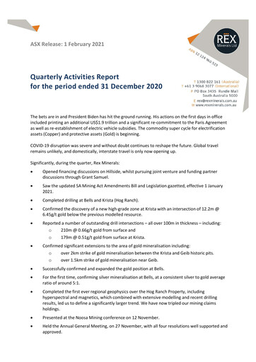 Thumbnail Rex Minerals Quarterly Report 2020-q4