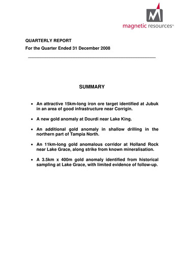 Thumbnail Magnetic Resources NL Quarterly Report 2008-q4