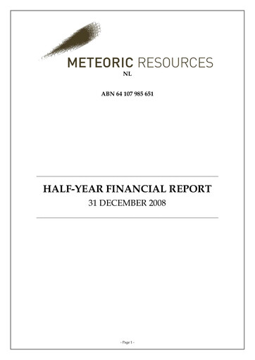 Thumbnail Meteoric Resources Half-year Report 2008