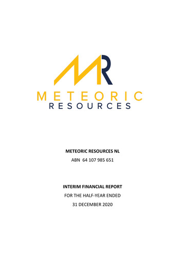 Thumbnail Meteoric Resources Half-year Report 2020