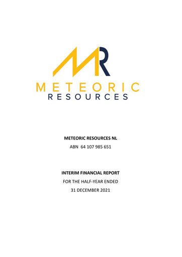 Thumbnail Meteoric Resources Half-year Report 2021