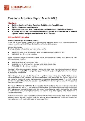 Vorschaubild Strickland Metals Limited Quartalsbericht 2023-q3