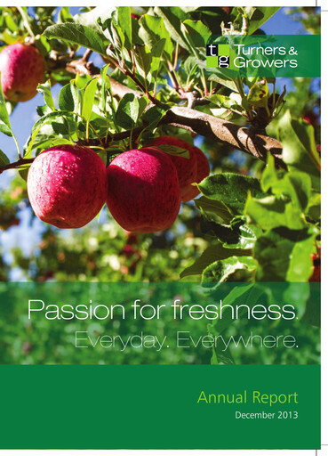 Miniature T&G Global Rapport annuel 2013