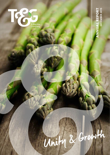 Miniature T&G Global Rapport annuel 2015