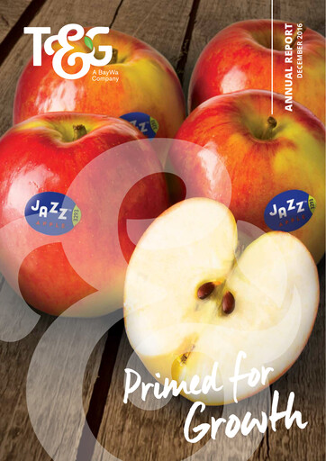 Miniature T&G Global Rapport annuel 2016