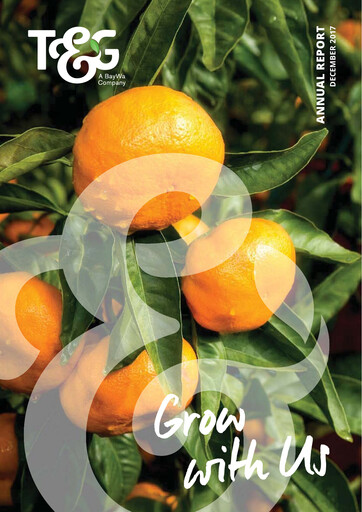 Miniature T&G Global Rapport annuel 2017