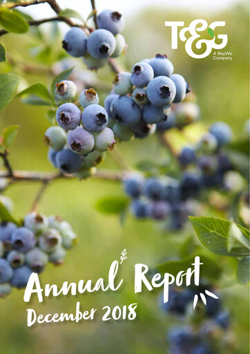 Miniature T&G Global Rapport annuel 2018