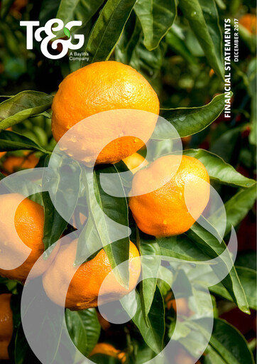 Miniature T&G Global Bilan financier 2017