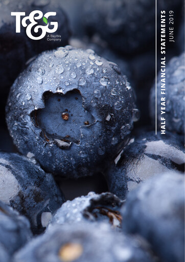 Miniature T&G Global Bilan financier 2019-h1