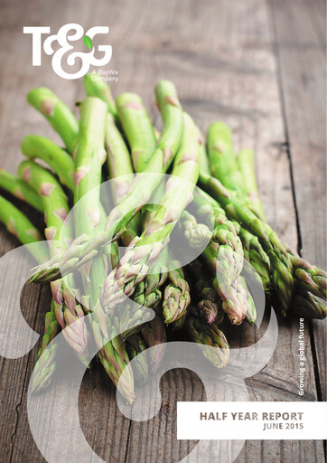 Miniature T&G Global Rapport semestriel 2015-h1