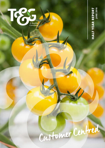 Miniature T&G Global Rapport semestriel 2016-h1