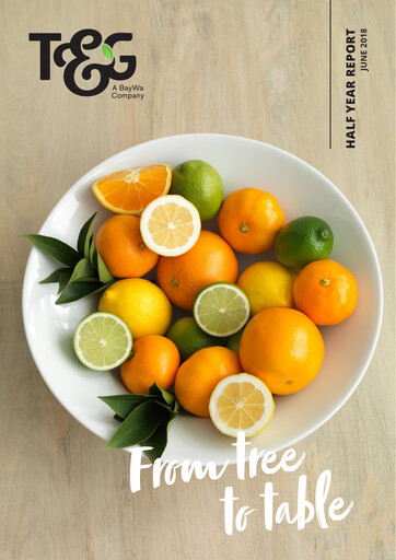 Miniature T&G Global Rapport semestriel 2018-h1