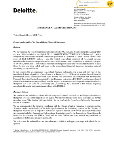 Miniature MOL Group Bilan financier 2024