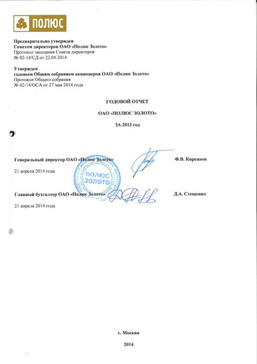 Vorschaubild Polyus Jahresbericht 2013