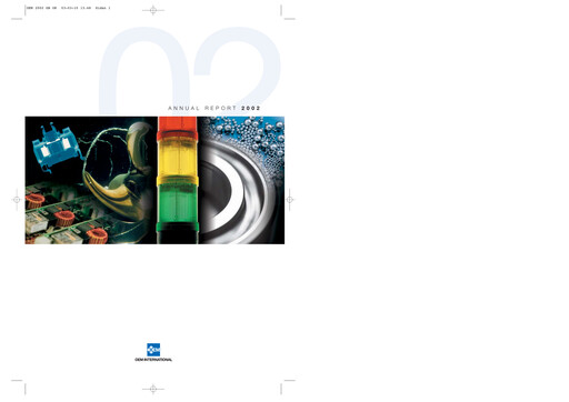 Thumbnail OEM International Annual Report 2002