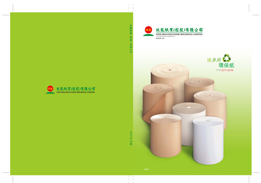 Miniature Nine Dragons Paper Rapport annuel 2017-2018