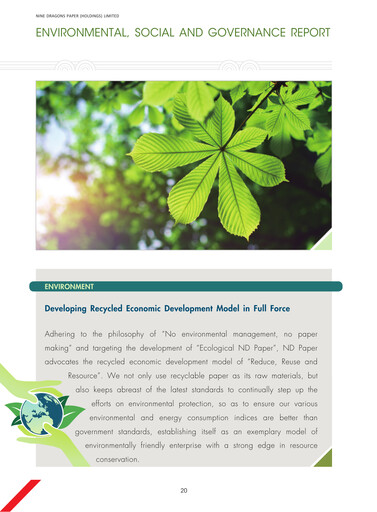 Miniature Nine Dragons Paper Rapport ESG 2017-2018