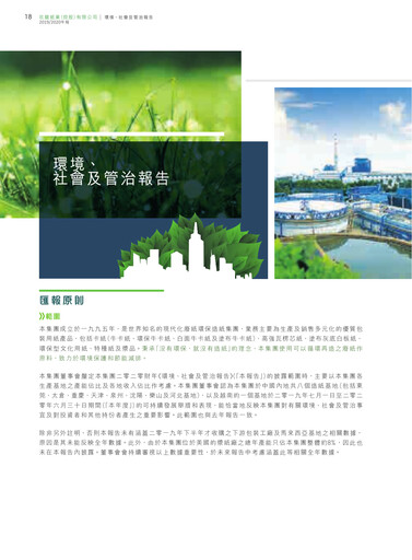 Miniature Nine Dragons Paper Rapport ESG 2019-2020