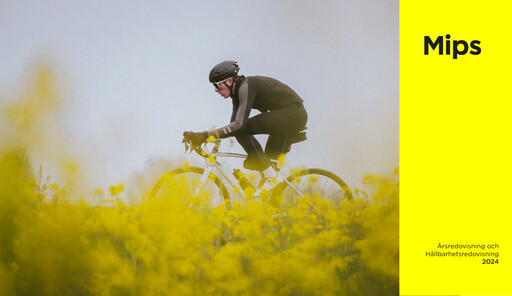 Thumbnail Mips AB Annual Report 2024