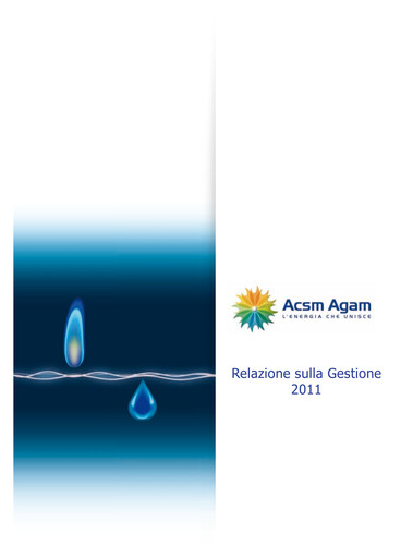 Thumbnail Acinque Annual Report 2011