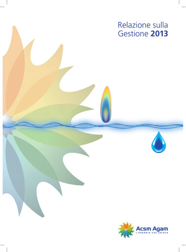 Thumbnail Acinque Annual Report 2013