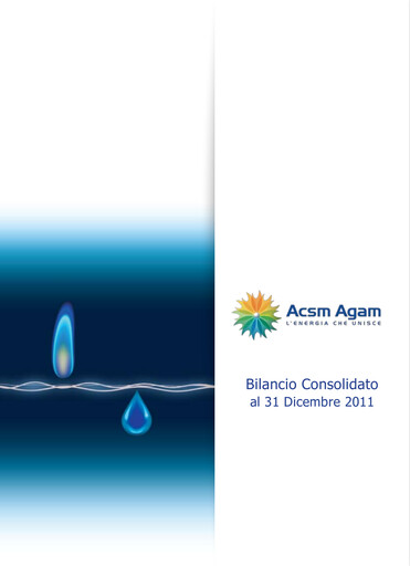 Thumbnail Acinque Financial Statement 2011