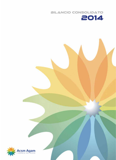 Thumbnail Acinque Financial Statement 2014